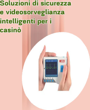 Servizio di sviluppo di prodotti software per casinò